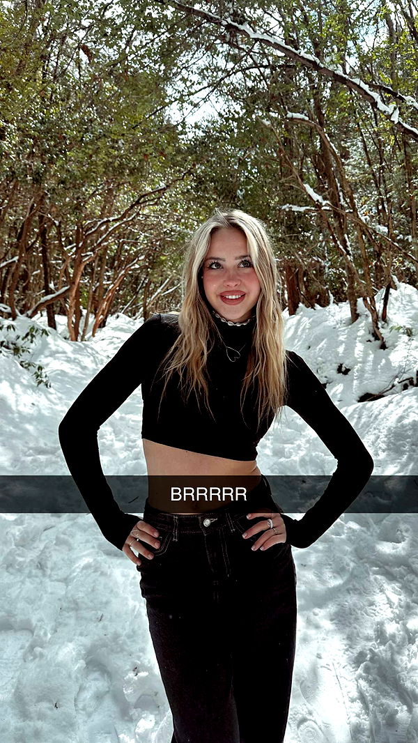 surfsterre image ~ Altpins