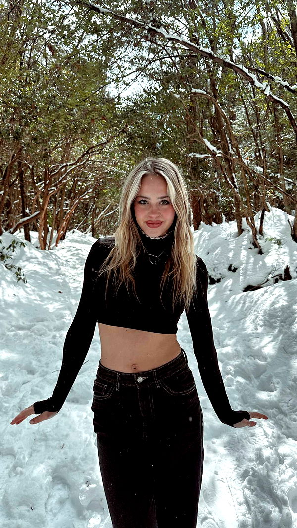 surfsterre image ~ Altpins