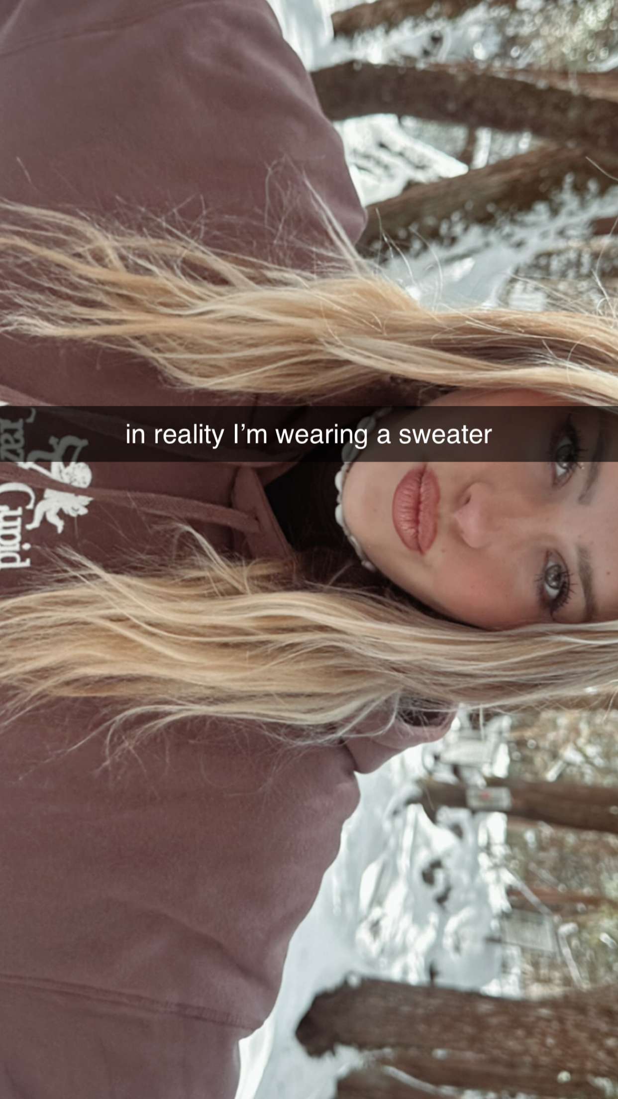 surfsterre snapchat image archive image