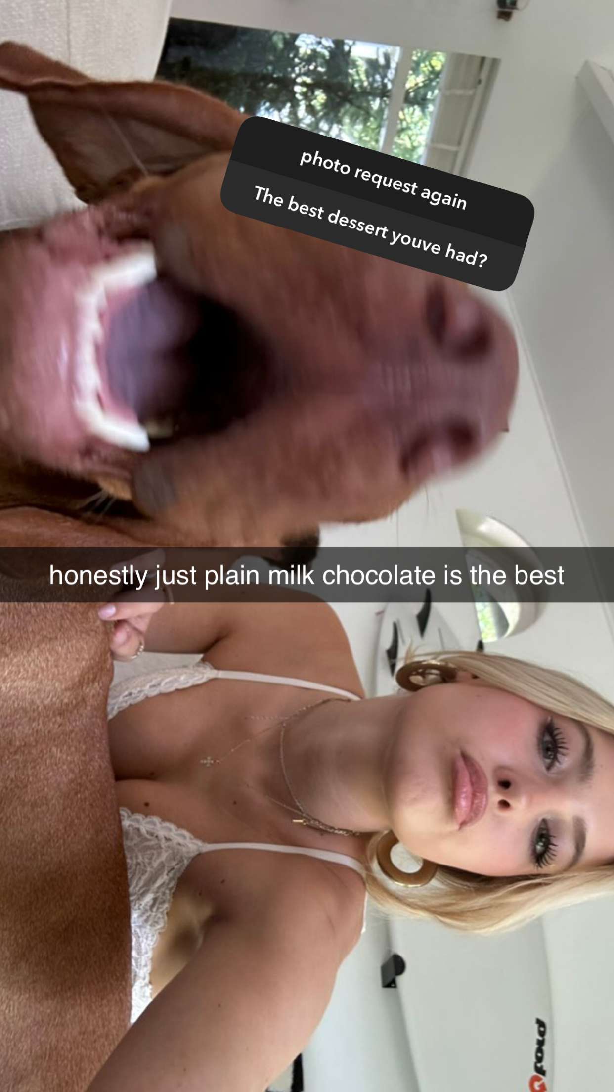 surfsterre snapchat image archive image