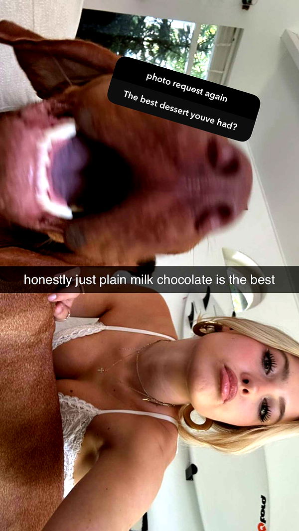 surfsterre image ~ Altpins