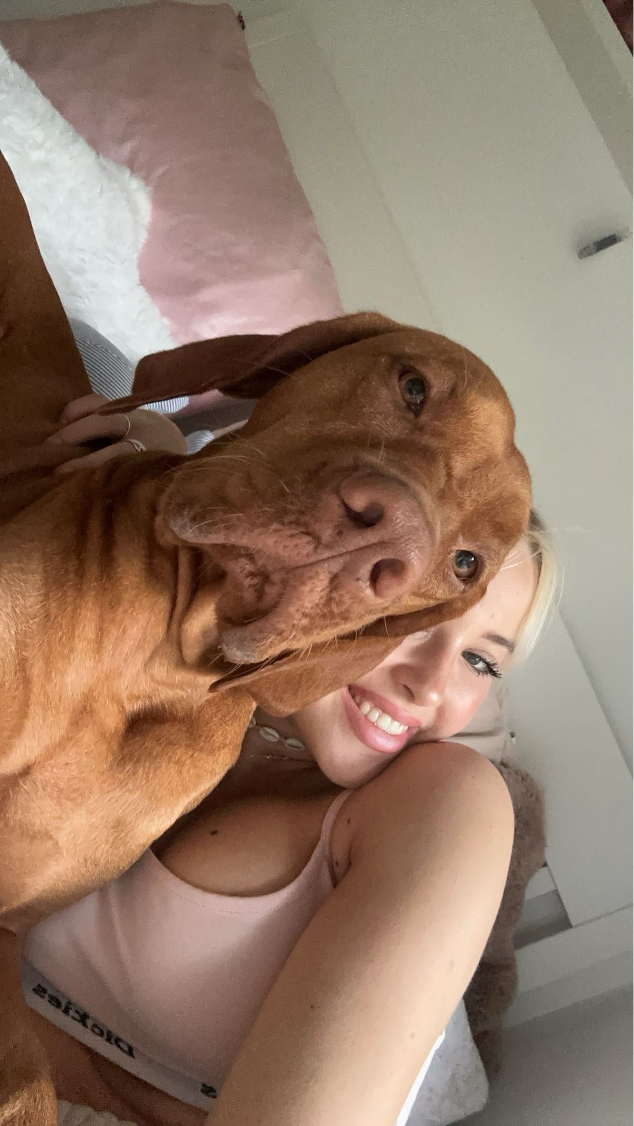 surfsterre snapchat image archive image