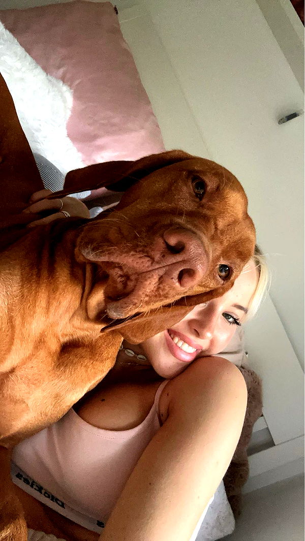 surfsterre image ~ Altpins