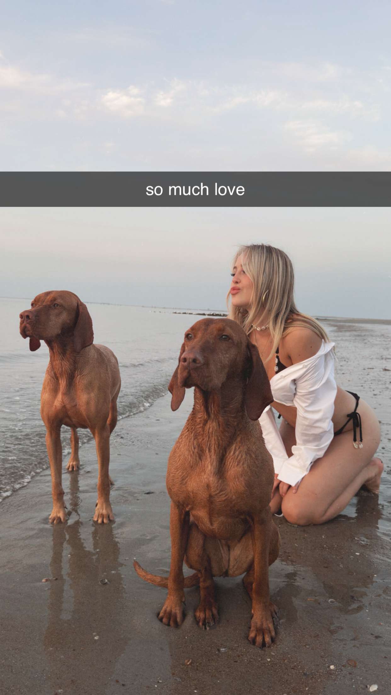 surfsterre snapchat image archive image