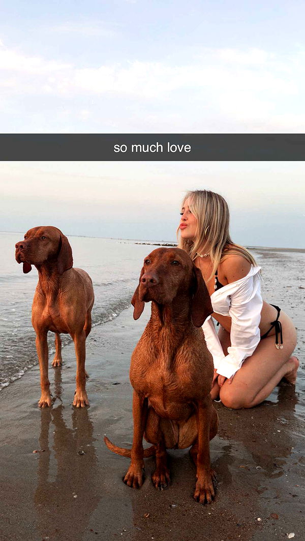 surfsterre image ~ Altpins