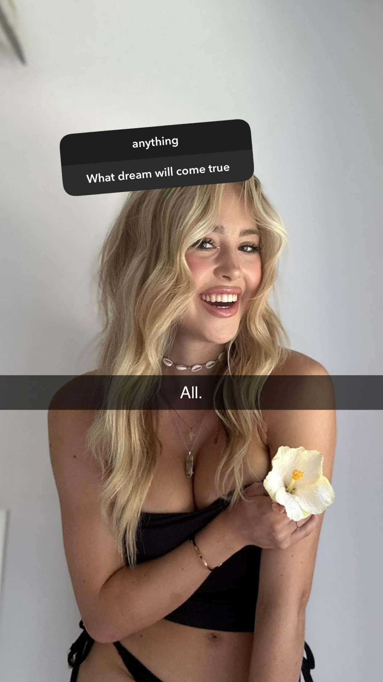 surfsterre snapchat image archive image