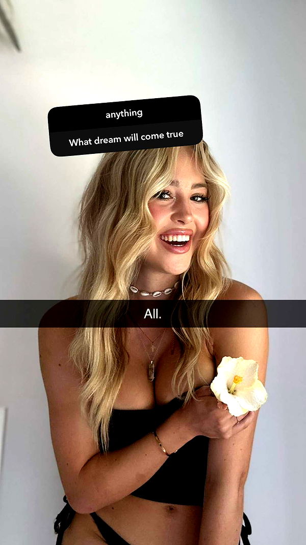 surfsterre image ~ Altpins