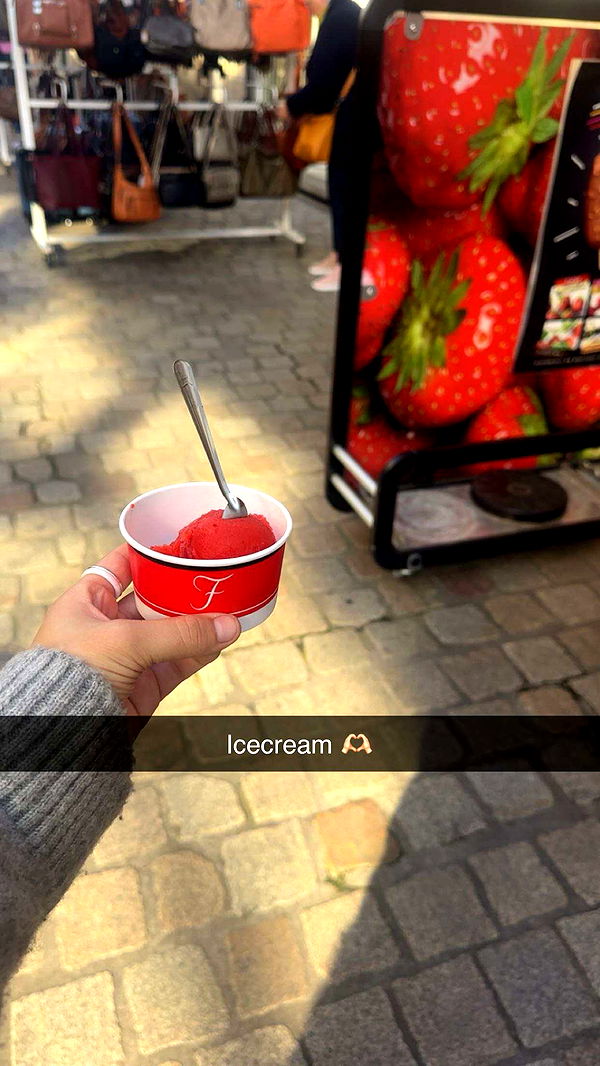 surfsterre image ~ Altpins