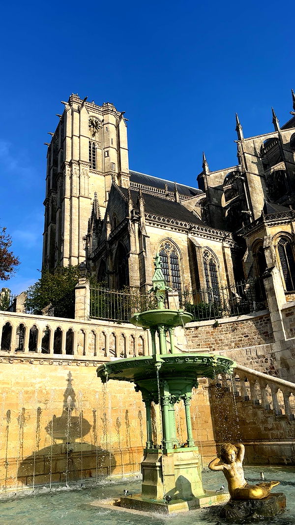 surfsterre image ~ Altpins