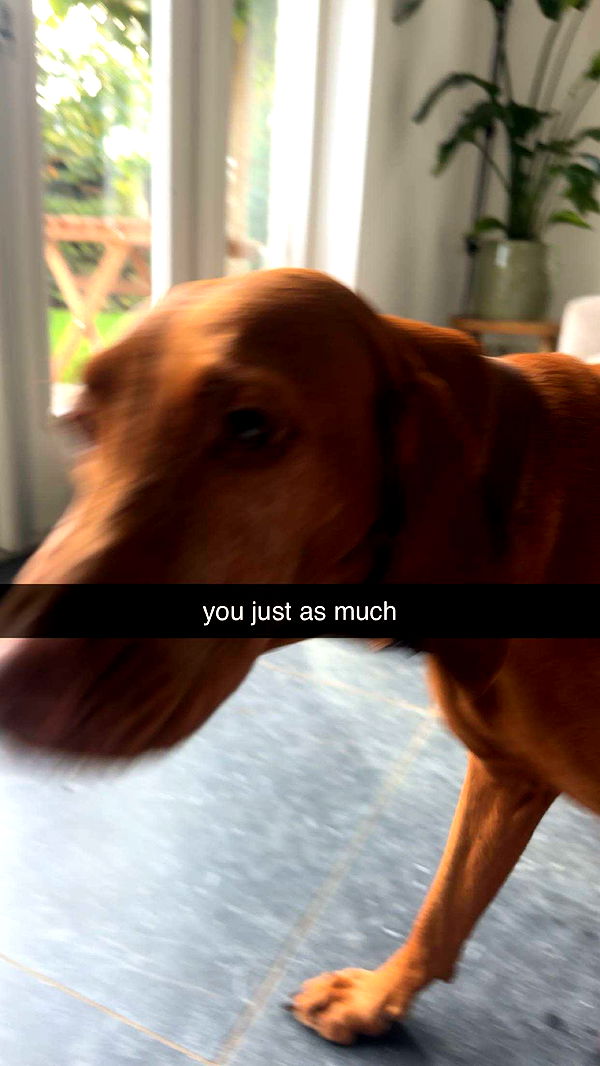 surfsterre image ~ Altpins