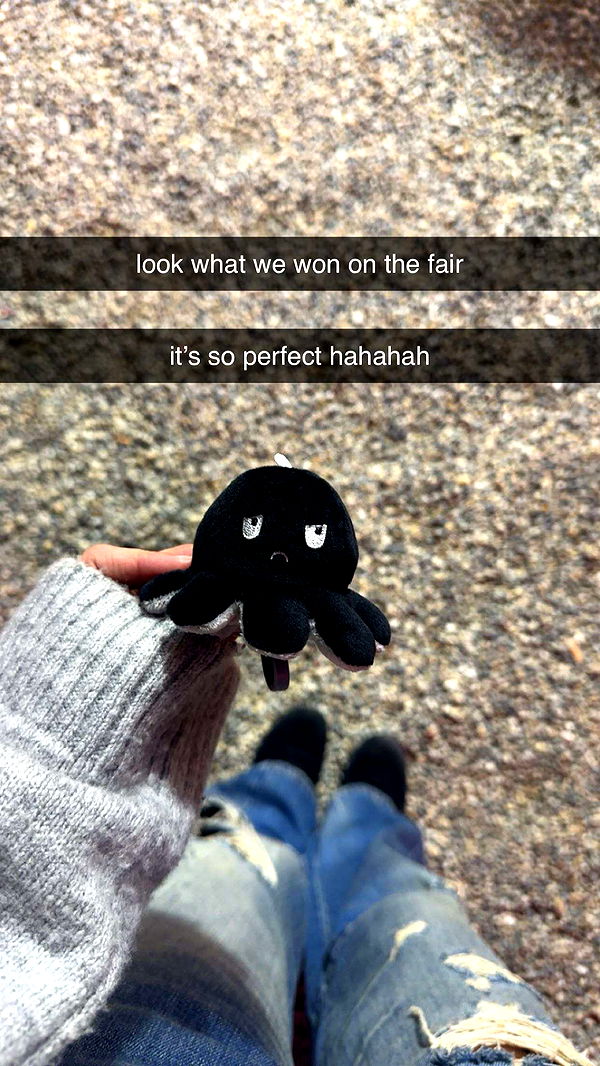 surfsterre image ~ Altpins