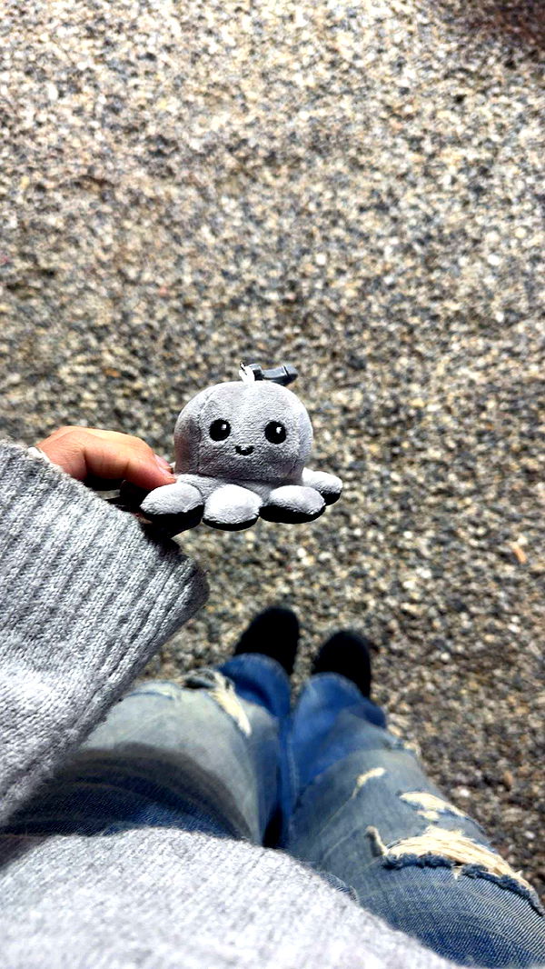 surfsterre image ~ Altpins