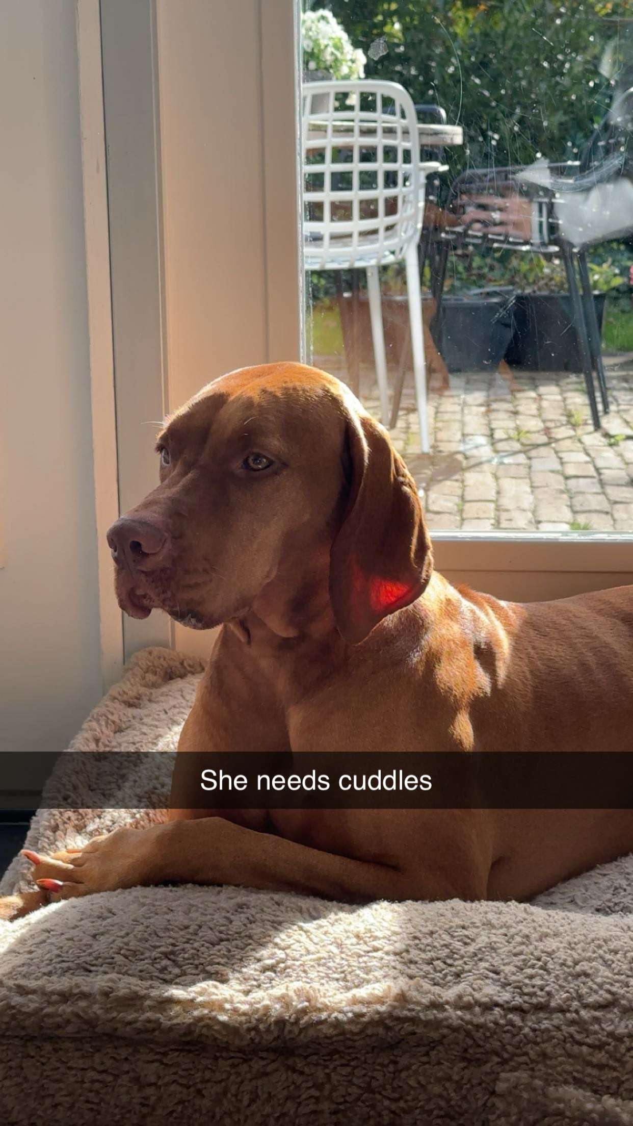 surfsterre snapchat image archive image