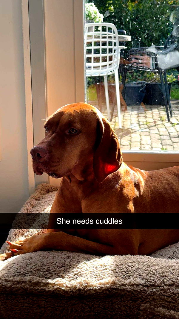 surfsterre image ~ Altpins