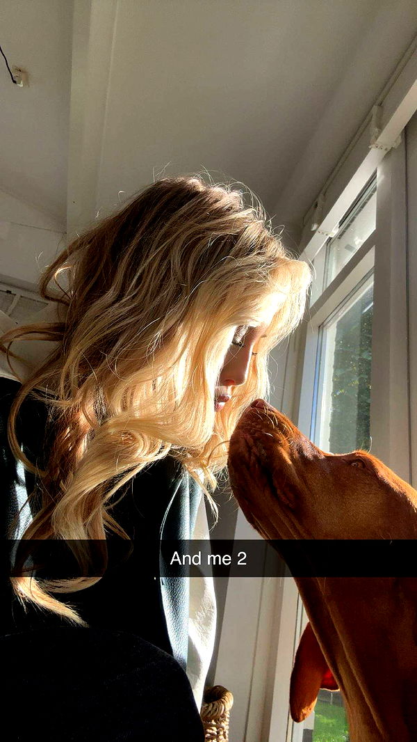 surfsterre image ~ Altpins