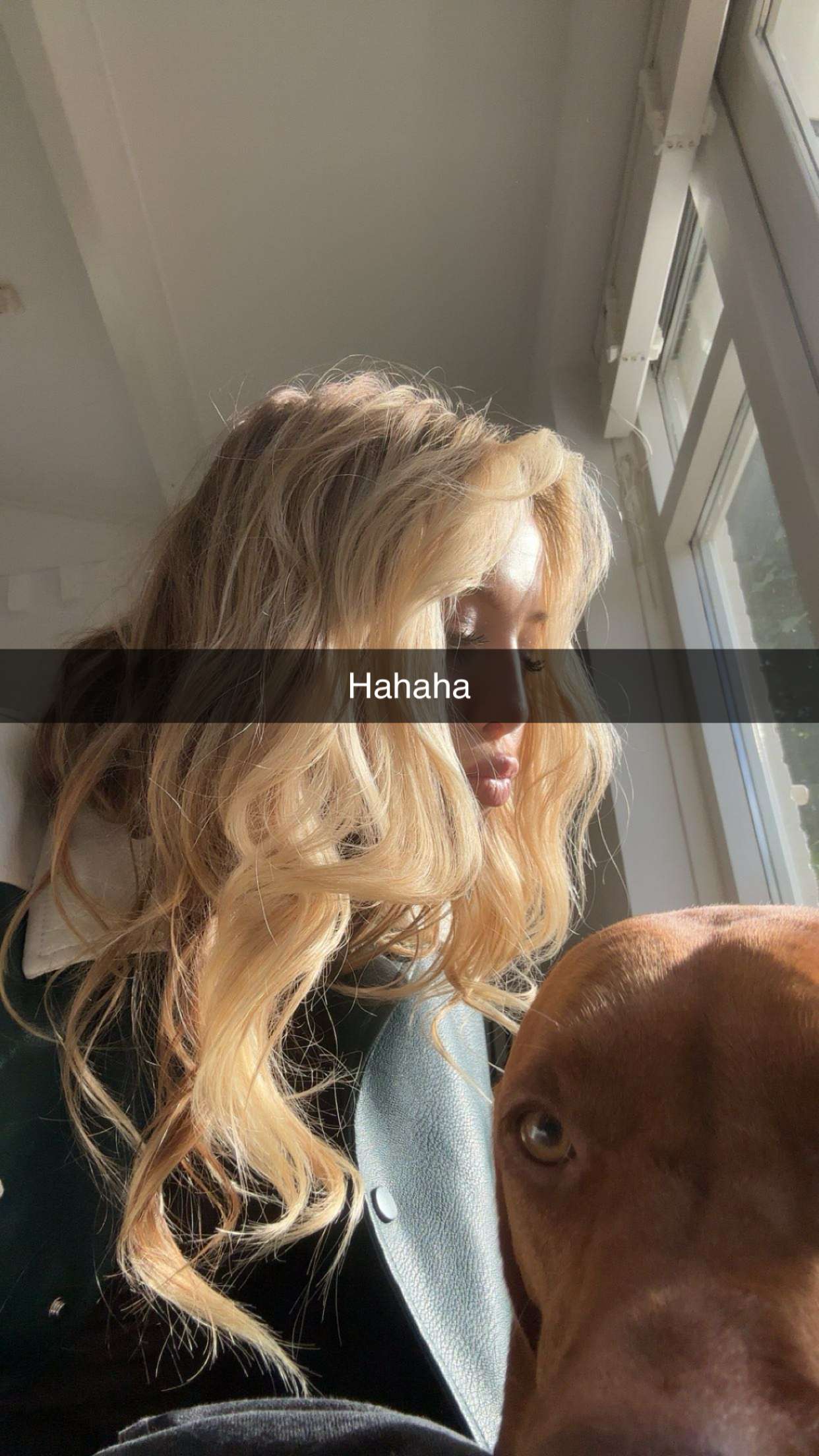 surfsterre snapchat image archive image