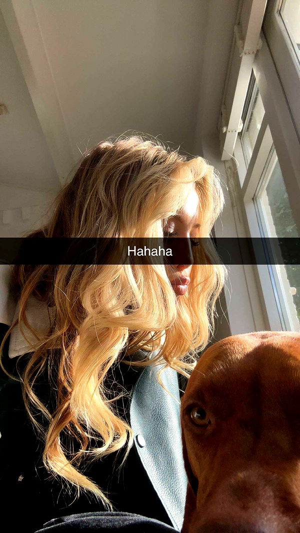 surfsterre image ~ Altpins