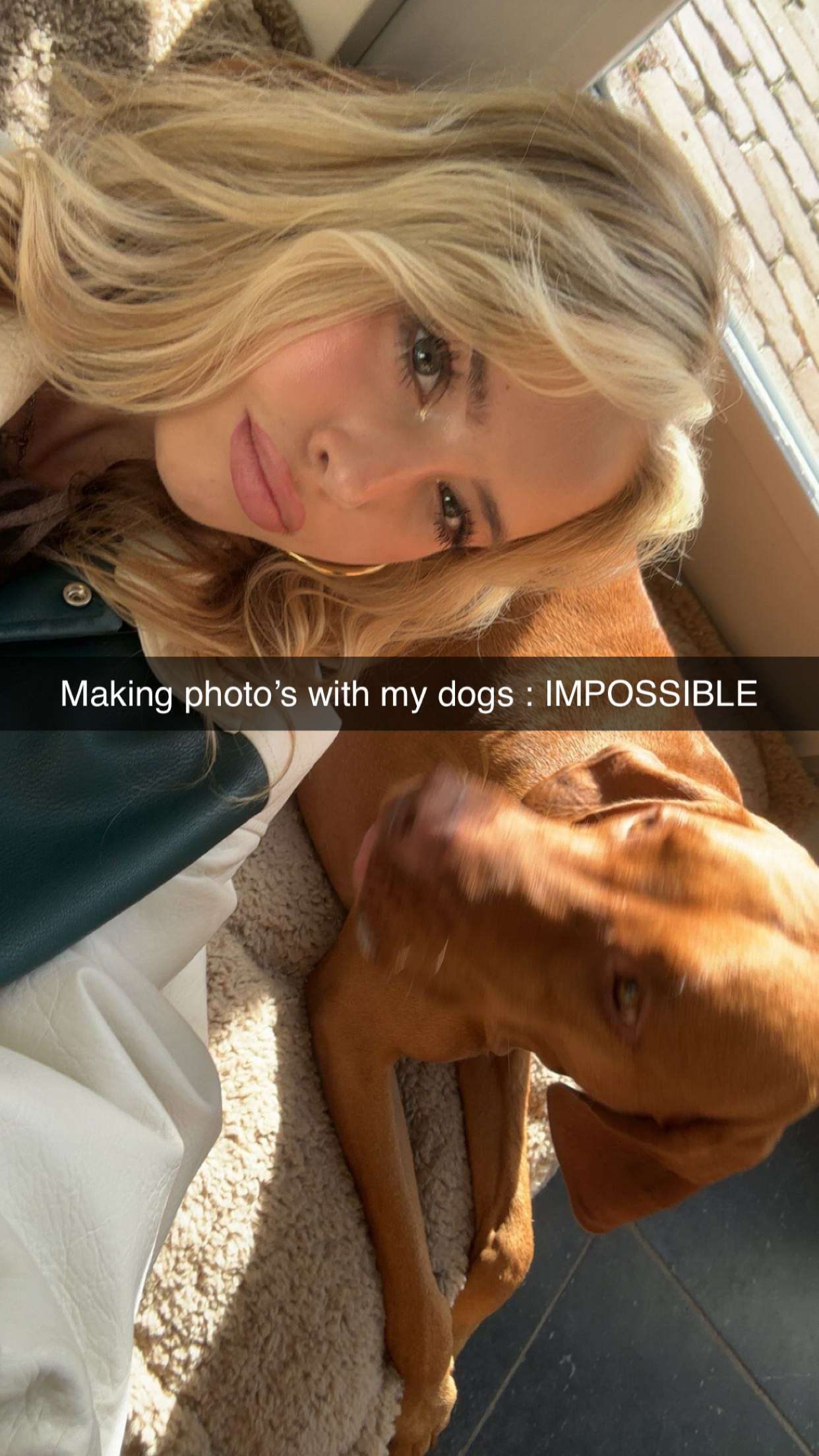 surfsterre snapchat image archive image