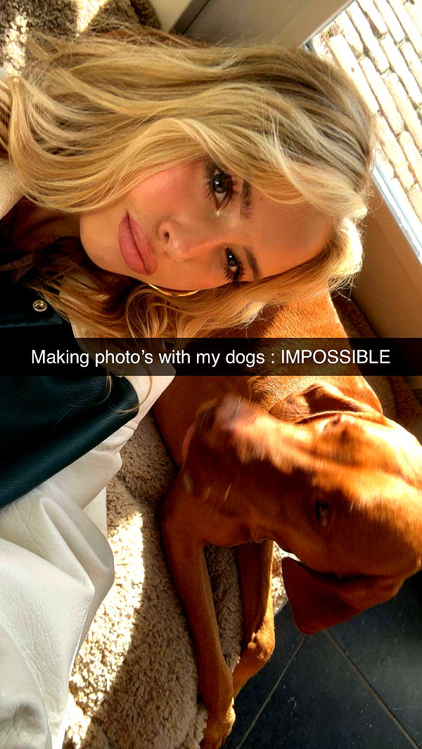 surfsterre image ~ Altpins