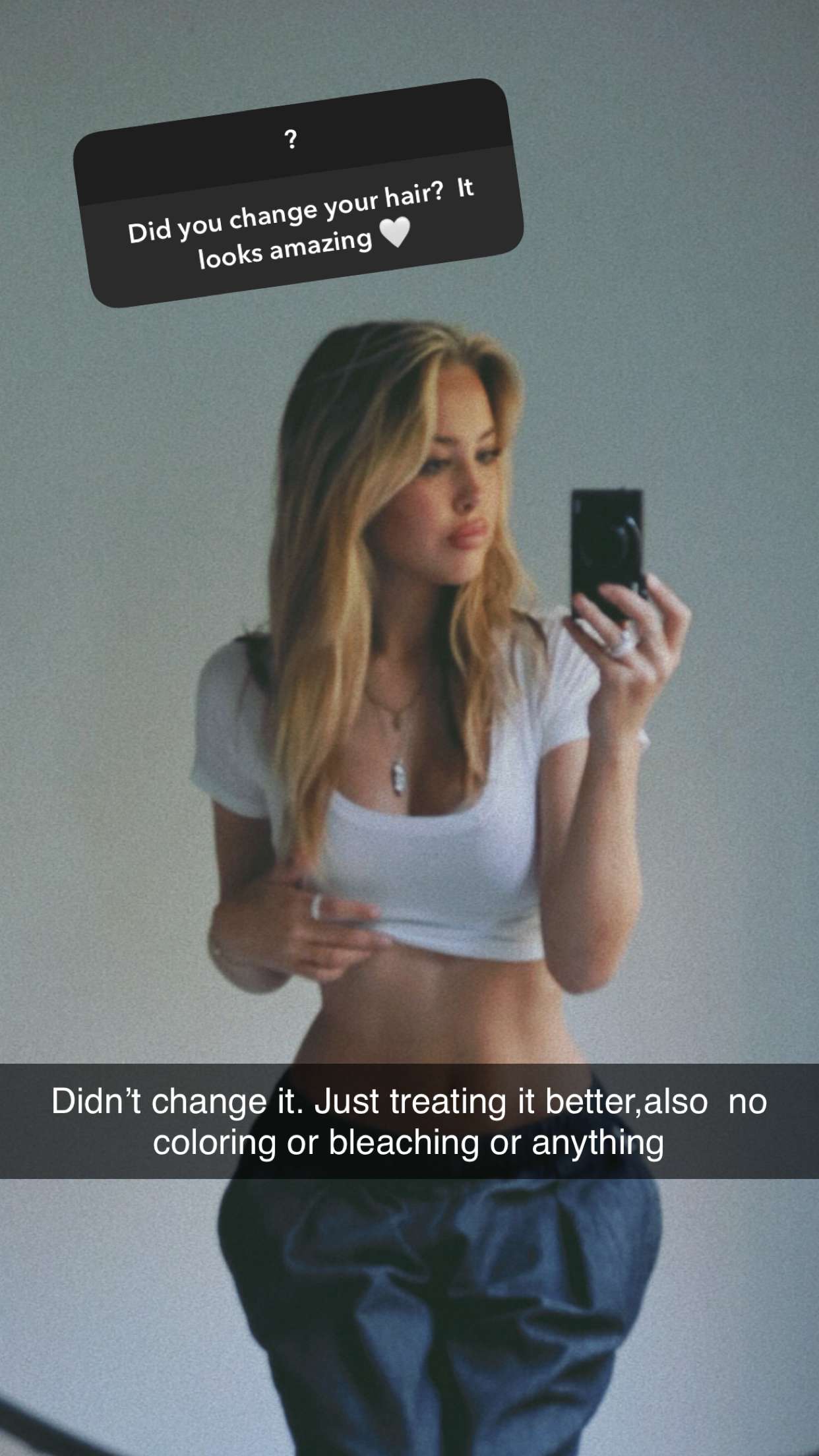 surfsterre snapchat image archive image