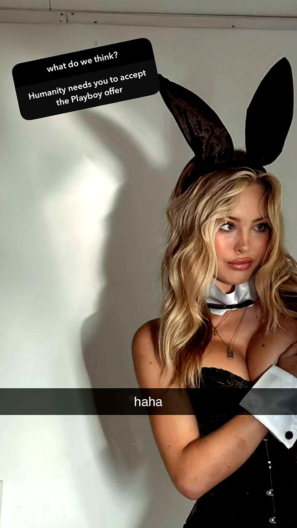 surfsterre image ~ Altpins