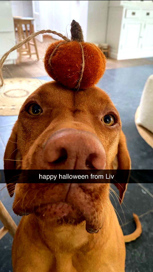 surfsterre image ~ Altpins