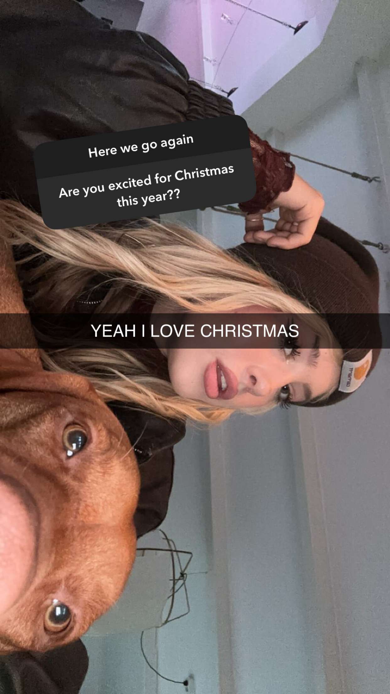 surfsterre snapchat image archive image