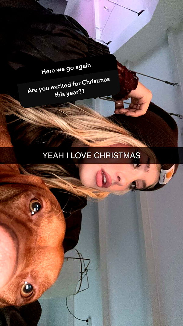 surfsterre image ~ Altpins