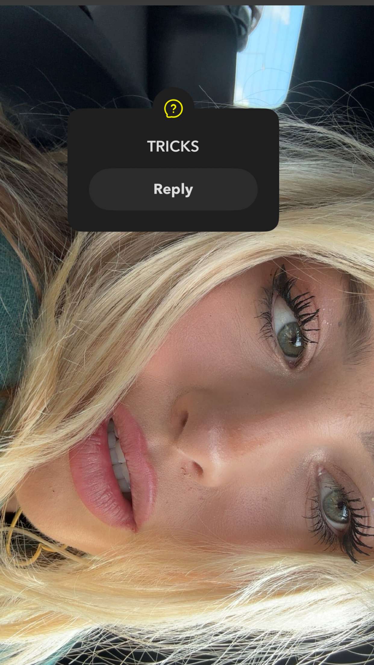 surfsterre snapchat image archive image