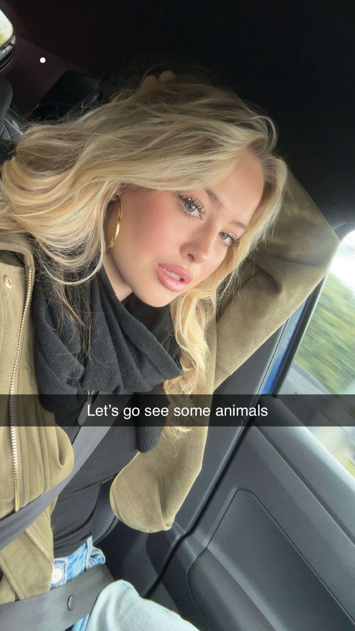 surfsterre snapchat image archive image