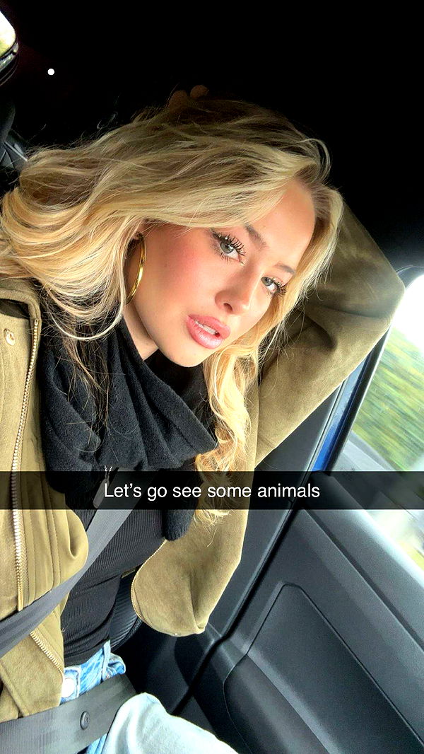 surfsterre image ~ Altpins