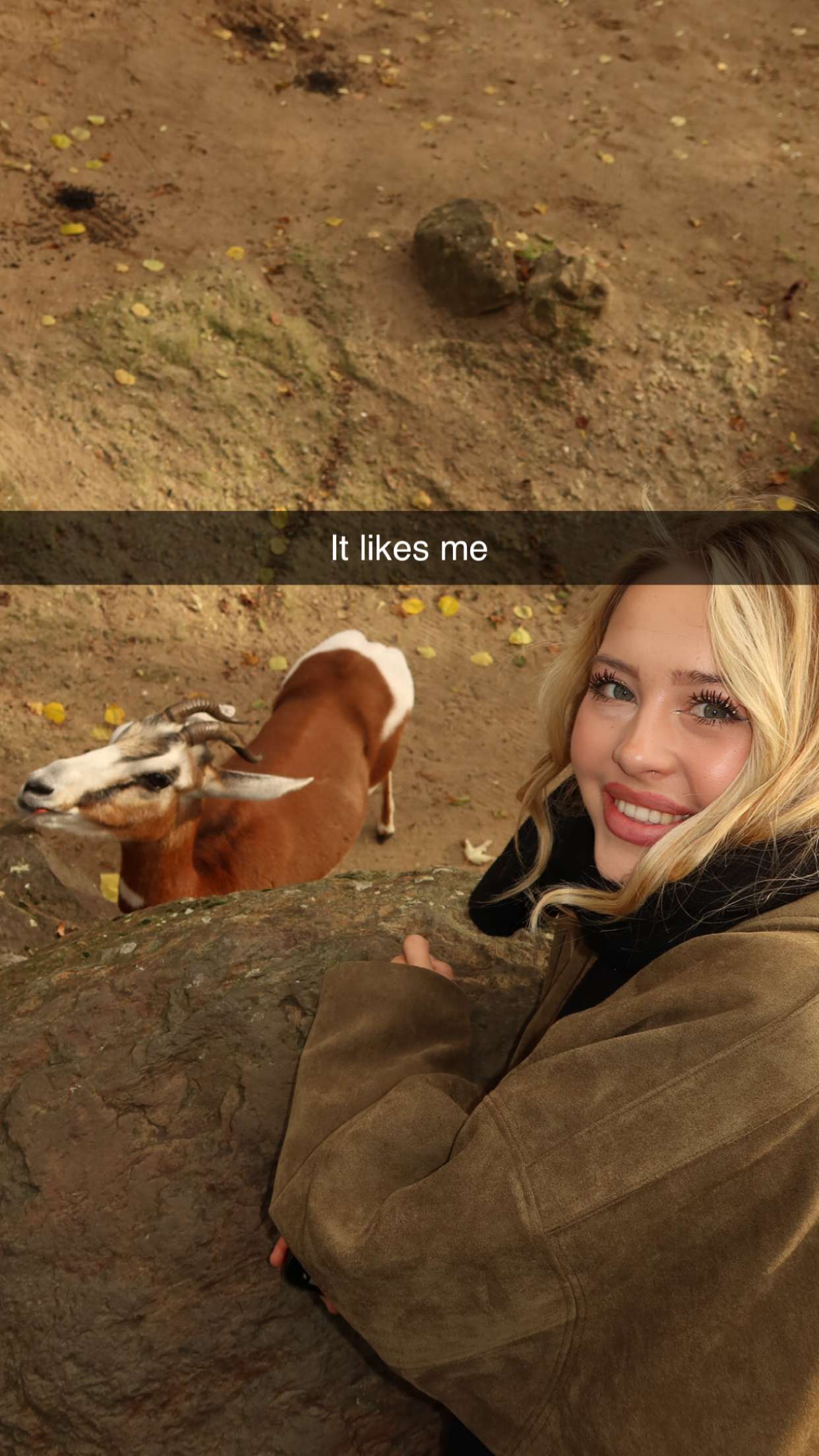 surfsterre snapchat image archive image