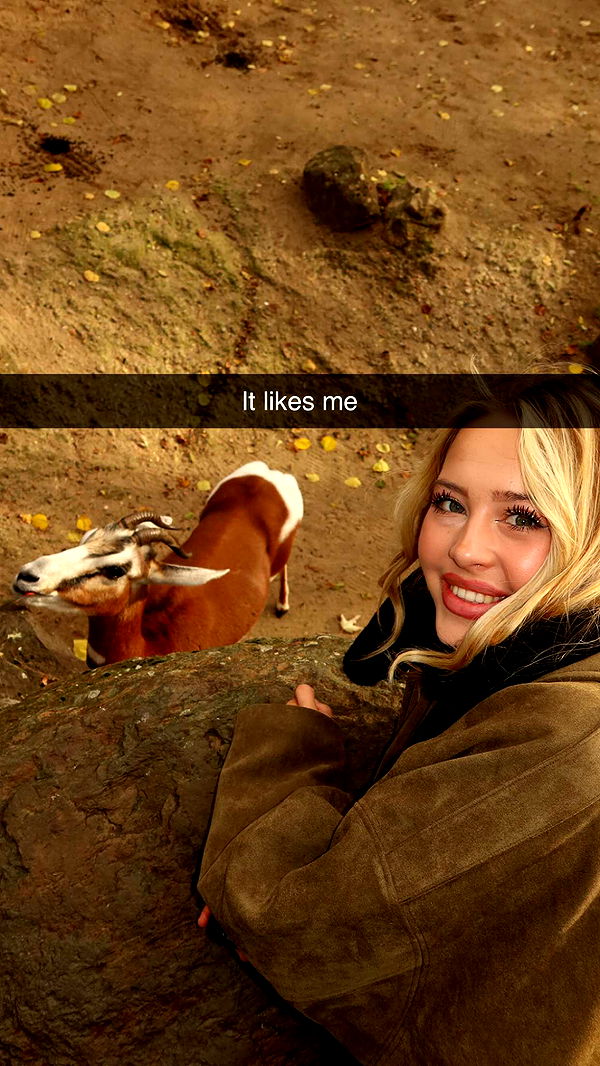 surfsterre image ~ Altpins