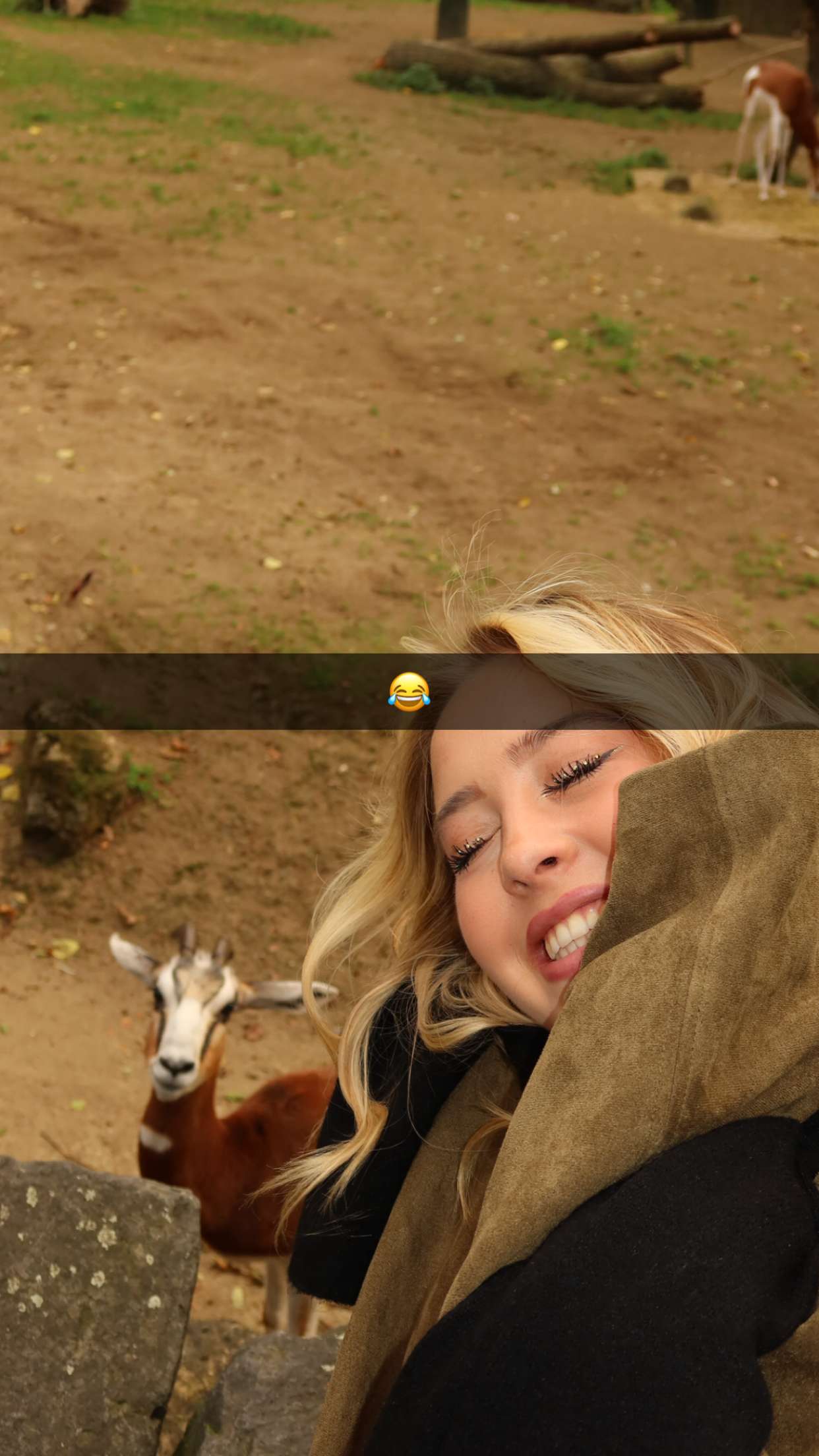 surfsterre snapchat image archive image