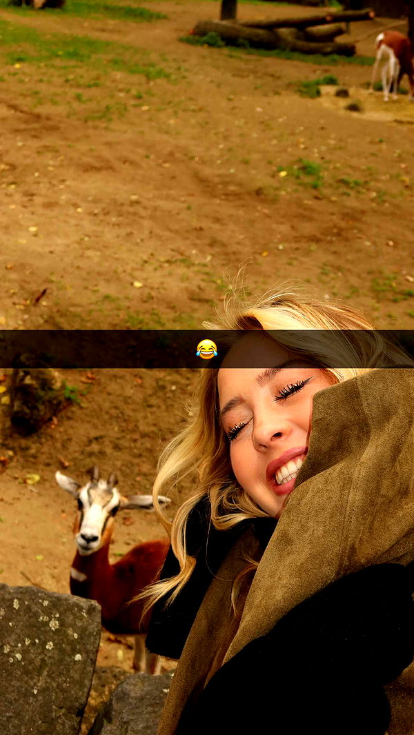 surfsterre image ~ Altpins