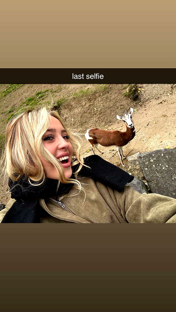 surfsterre image ~ Altpins