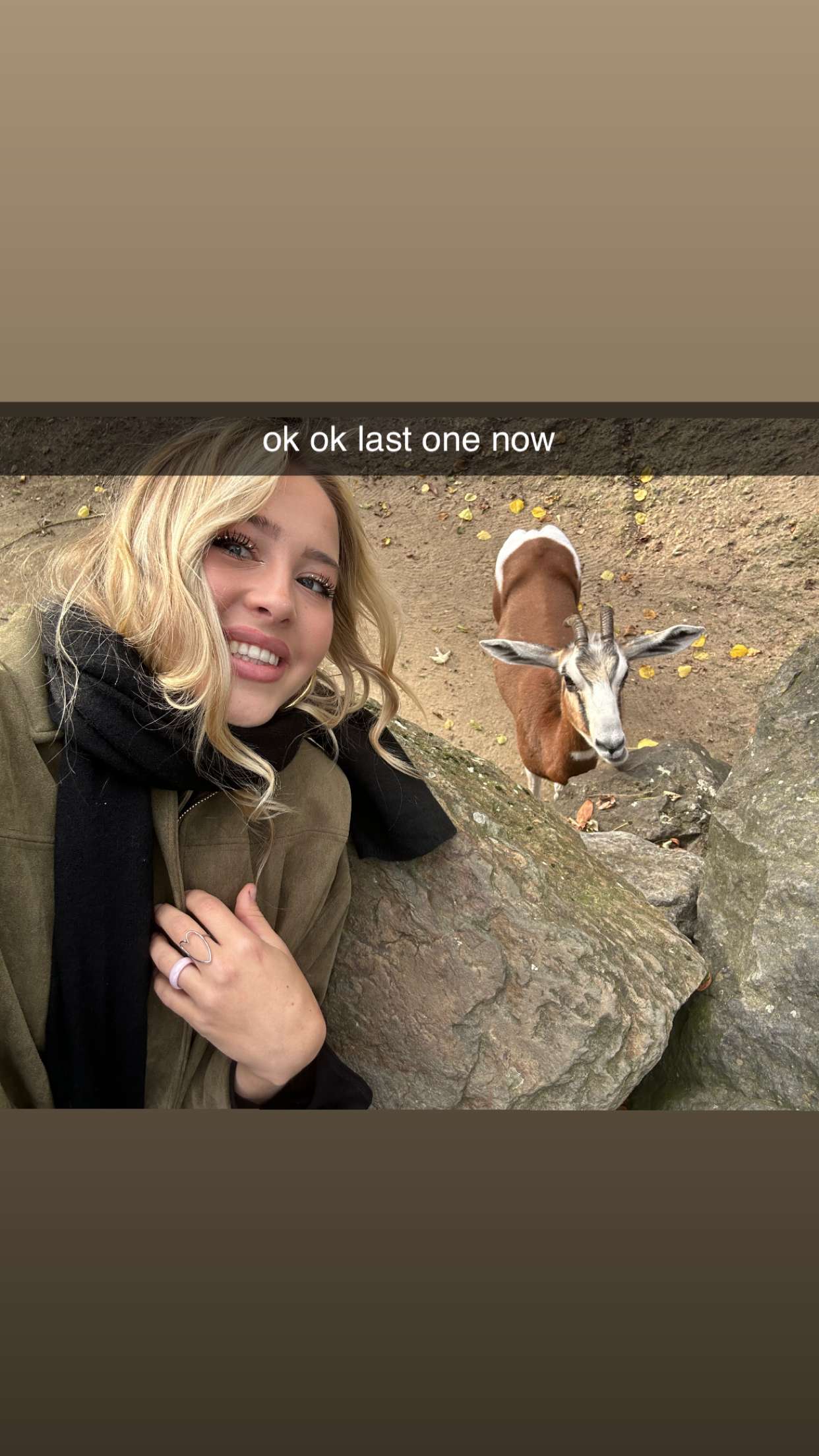 surfsterre snapchat image archive image