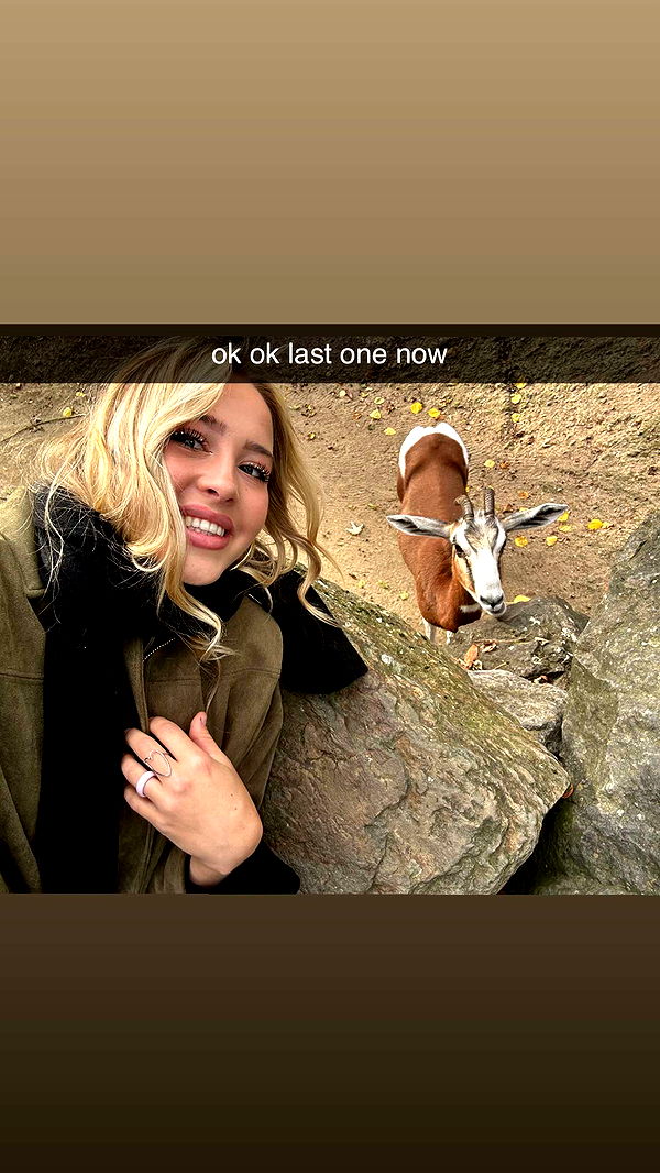 surfsterre image ~ Altpins