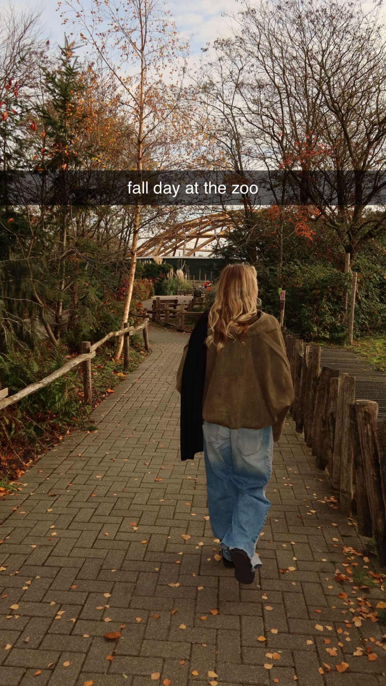 surfsterre snapchat image archive image