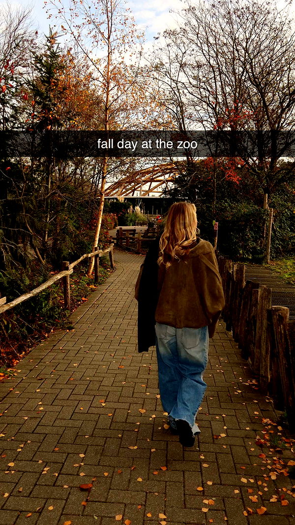 surfsterre image ~ Altpins