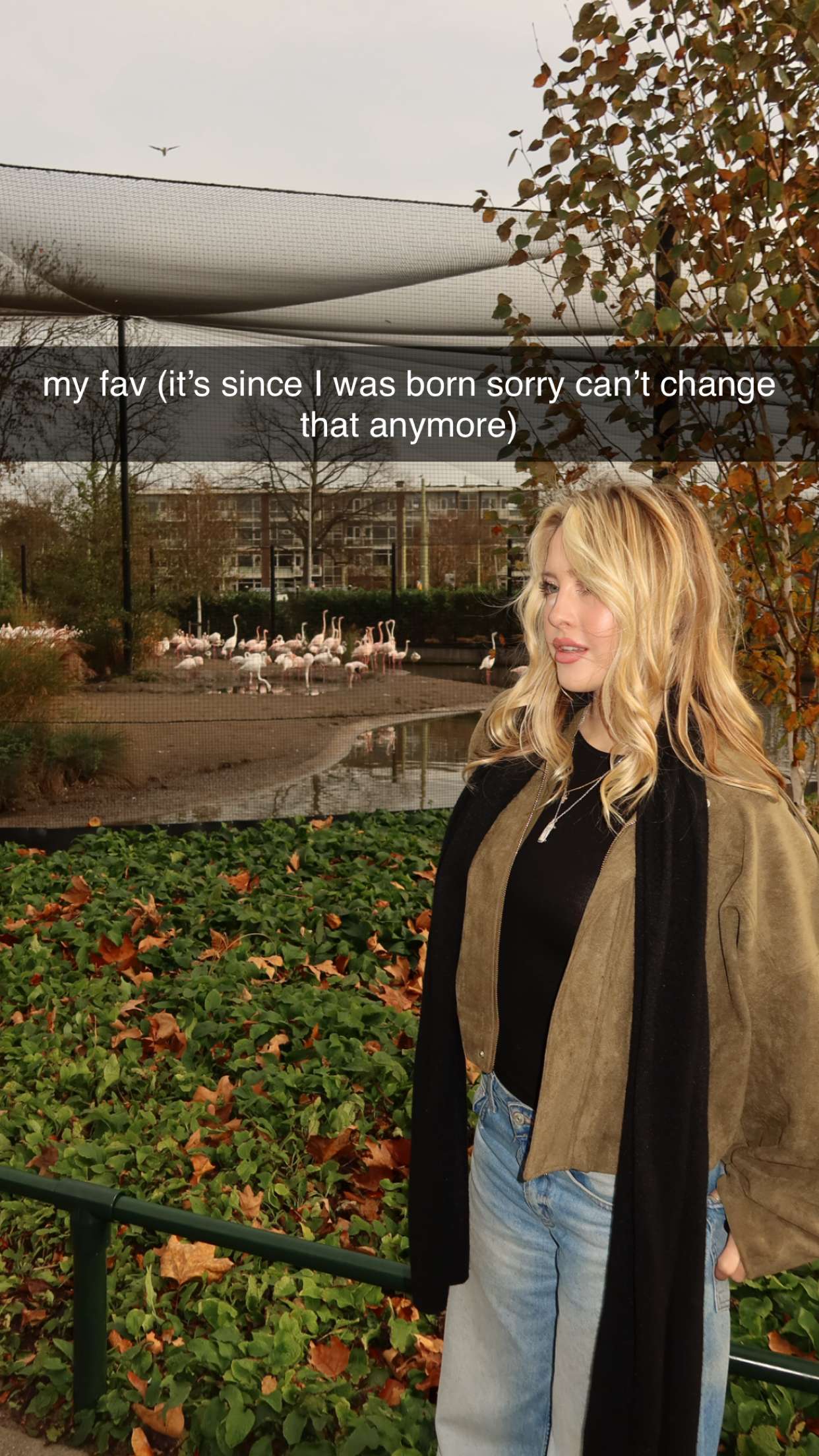 surfsterre snapchat image archive image