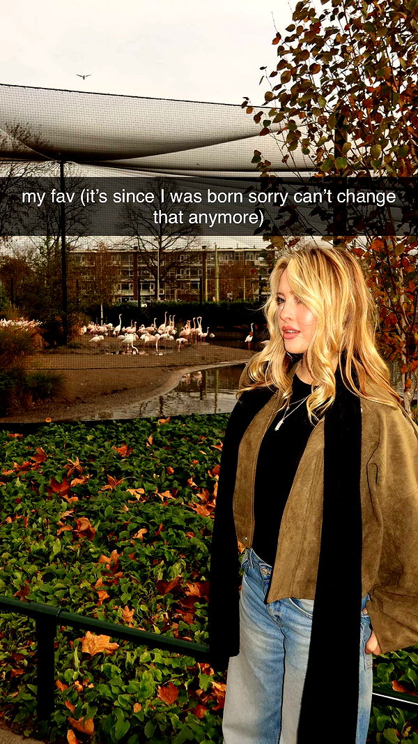 surfsterre image ~ Altpins