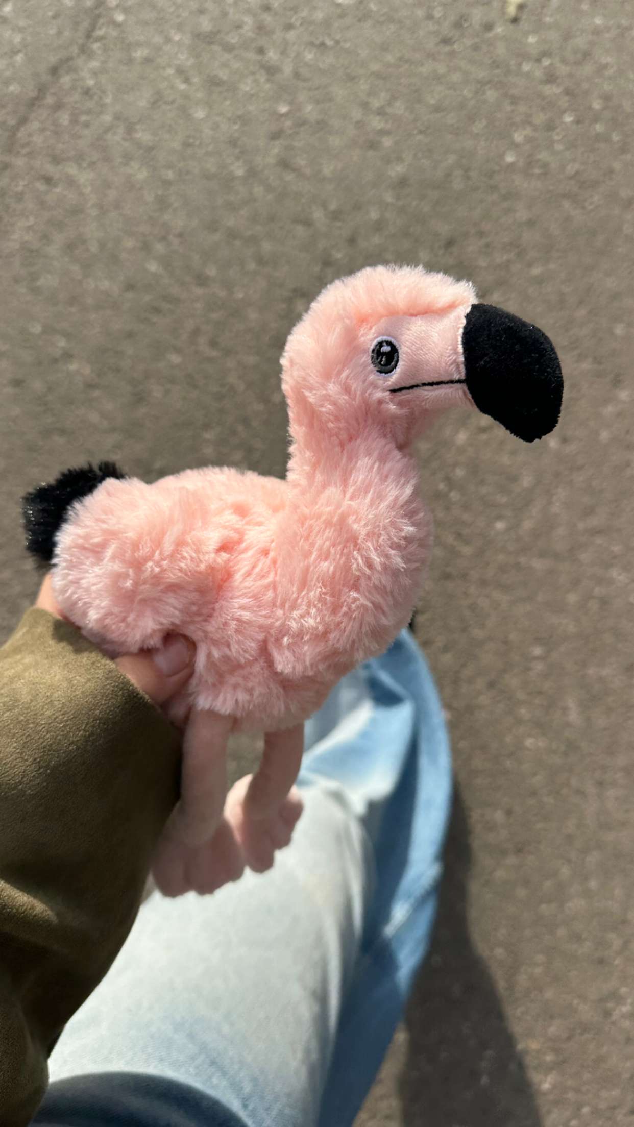 surfsterre snapchat image archive image