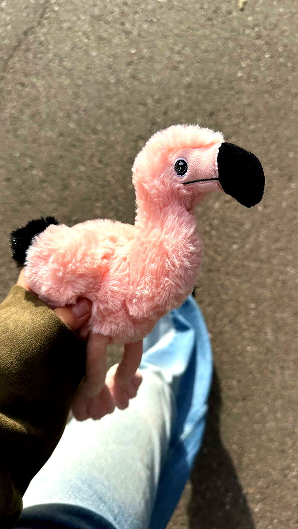 surfsterre image ~ Altpins