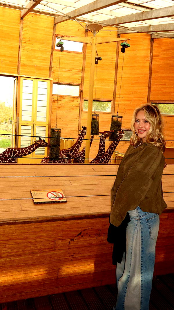 surfsterre image ~ Altpins