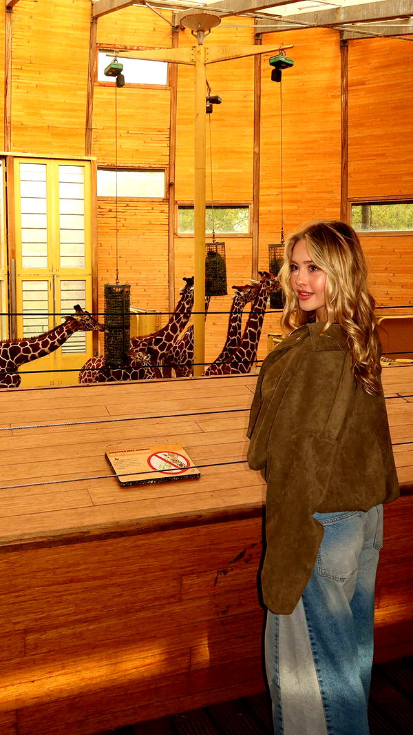 surfsterre image ~ Altpins