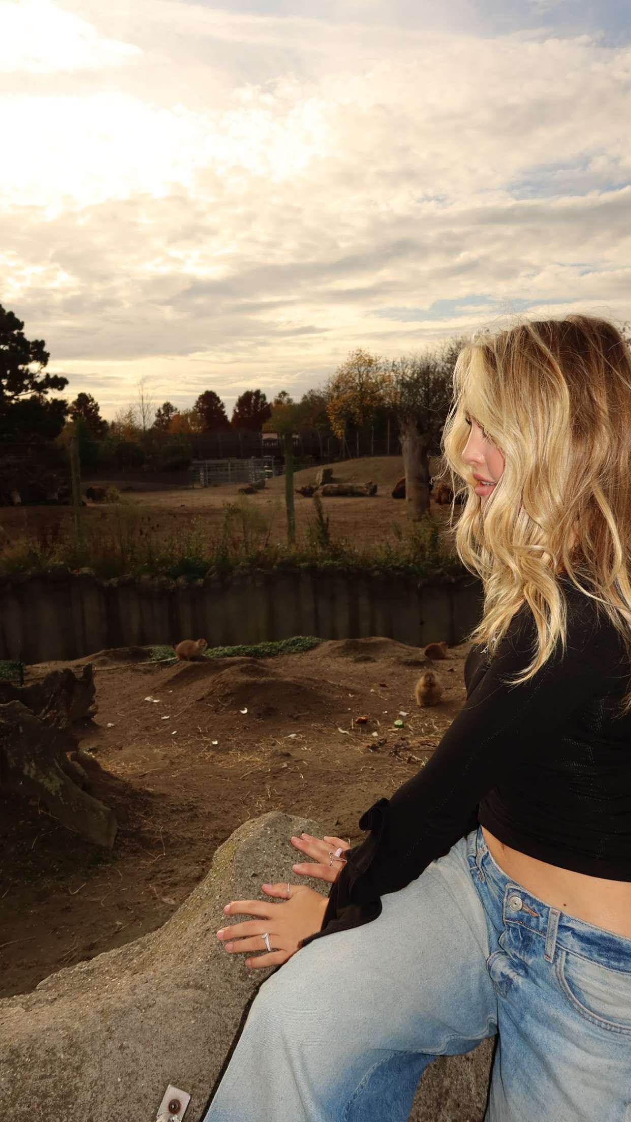 surfsterre snapchat image archive image