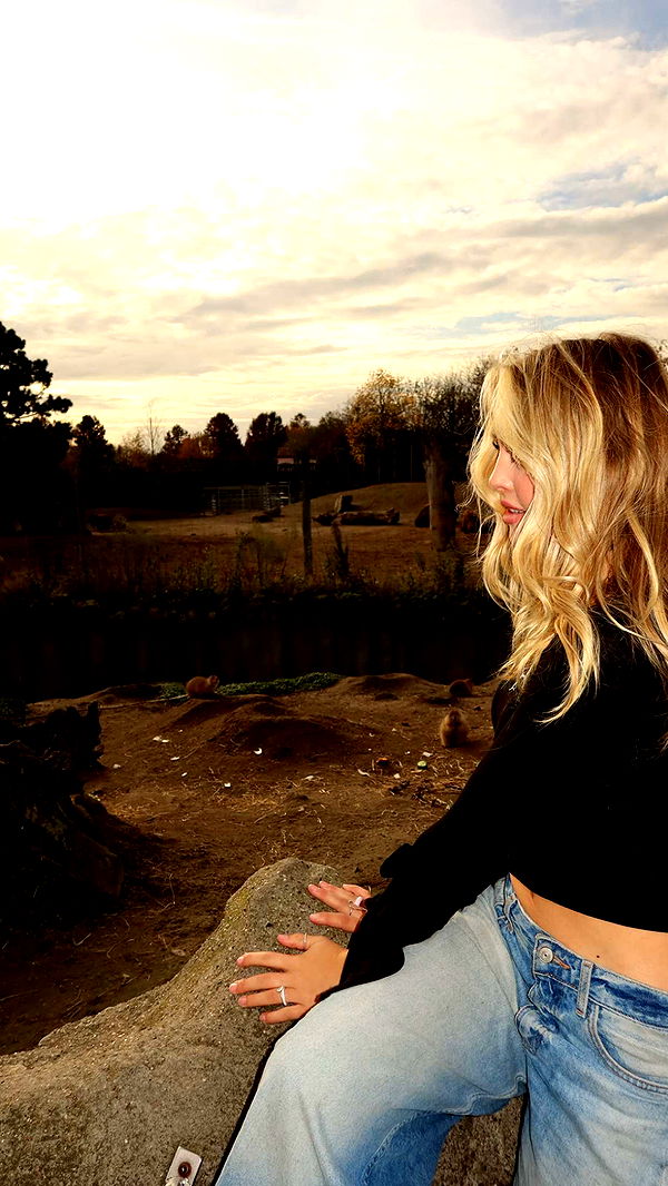 surfsterre image ~ Altpins