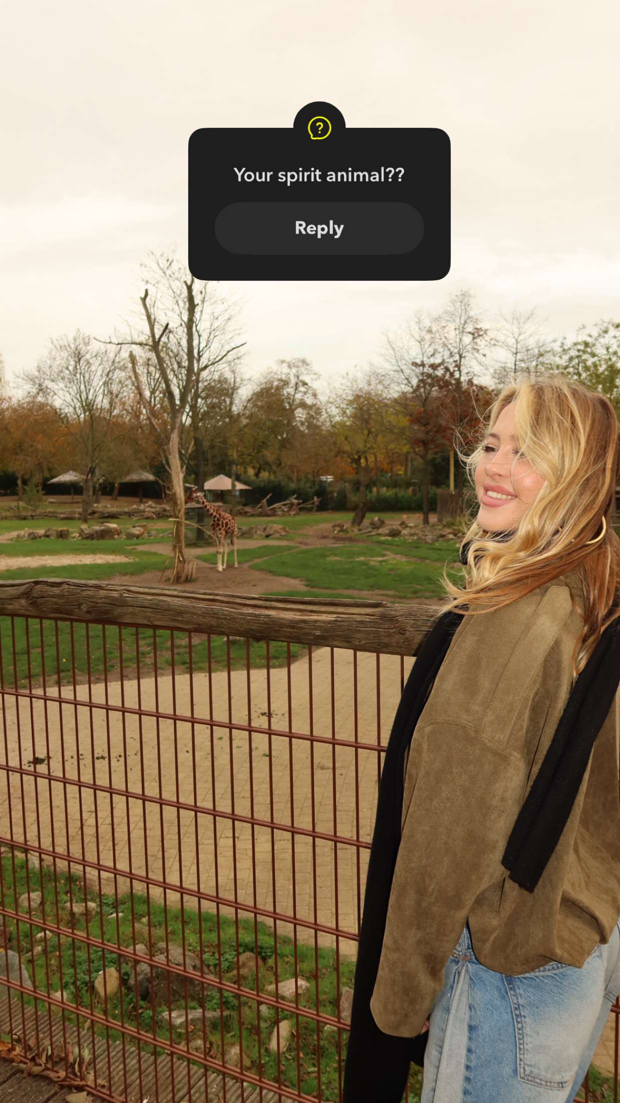 surfsterre snapchat image archive image