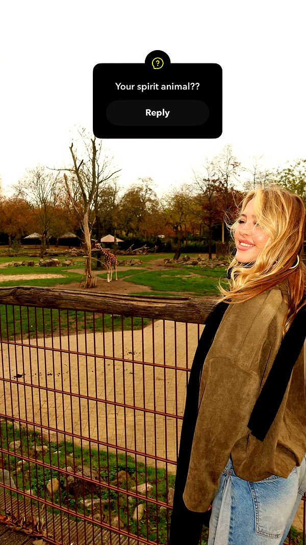 surfsterre image ~ Altpins